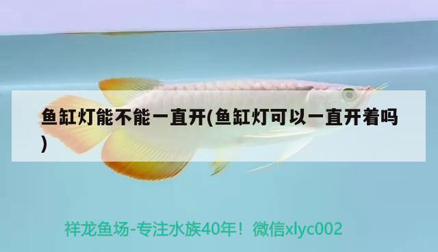 魚缸燈能不能一直開(魚缸燈可以一直開著嗎) 哥倫比亞巨暴魚苗