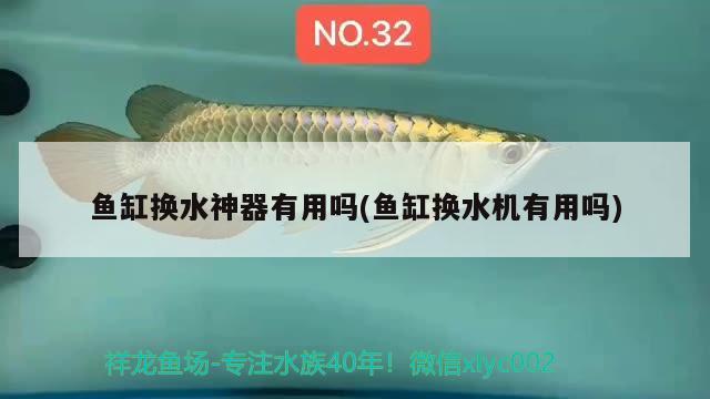 魚缸換水神器有用嗎(魚缸換水機有用嗎) 胭脂孔雀龍魚