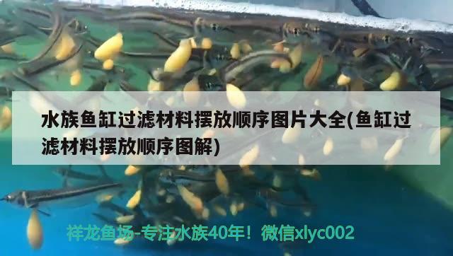 水族魚缸過濾材料擺放順序圖片大全(魚缸過濾材料擺放順序圖解) 申古三間魚