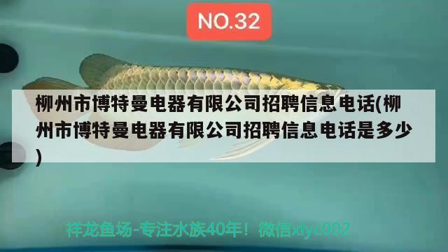 柳州市博特曼電器有限公司招聘信息電話(柳州市博特曼電器有限公司招聘信息電話是多少)