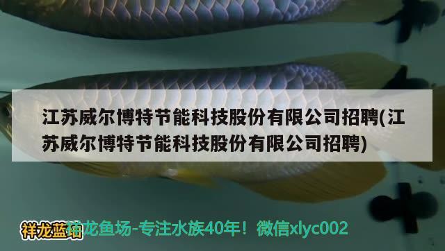 江蘇威爾博特節(jié)能科技股份有限公司招聘(江蘇威爾博特節(jié)能科技股份有限公司招聘) 博特水族