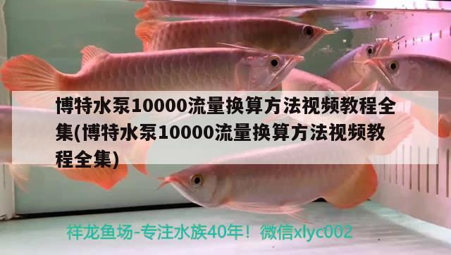 博特水泵10000流量換算方法視頻教程全集(博特水泵10000流量換算方法視頻教程全集) 博特水族