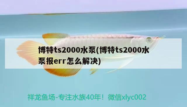 博特ts2000水泵(博特ts2000水泵報err怎么解決)