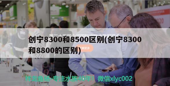 創(chuàng)寧8300和8500區(qū)別(創(chuàng)寧8300和8800的區(qū)別) 創(chuàng)寧水族