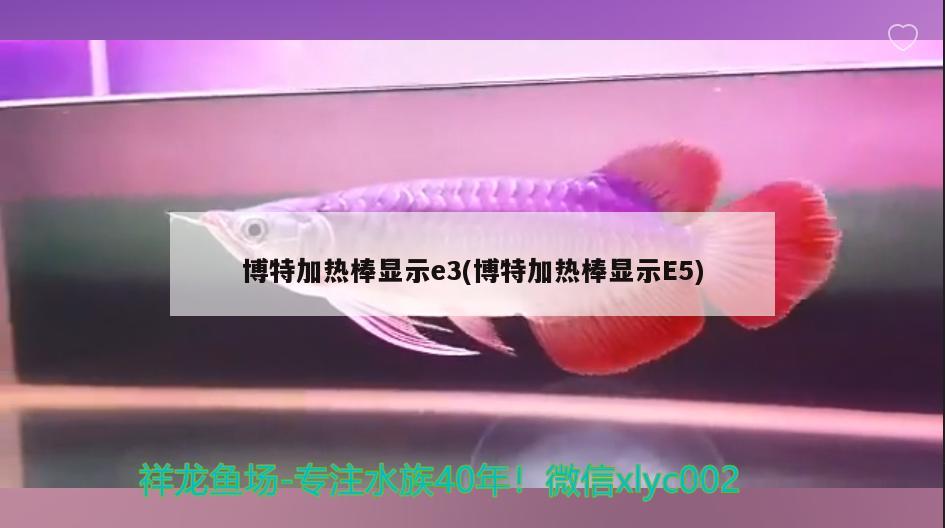 博特加熱棒顯示e3(博特加熱棒顯示E5)