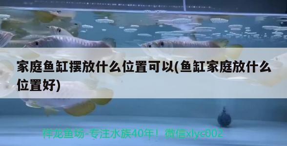 家庭魚缸擺放什么位置可以(魚缸家庭放什么位置好)