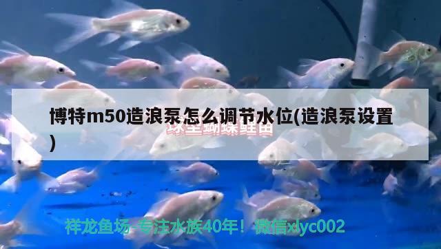 博特m50造浪泵怎么調(diào)節(jié)水位(造浪泵設(shè)置)