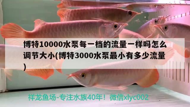 博特10000水泵每一檔的流量一樣嗎怎么調(diào)節(jié)大小(博特3000水泵最小有多少流量) 博特水族