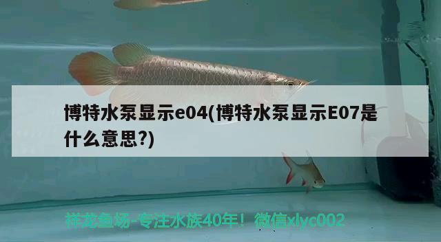 博特水泵顯示e04(博特水泵顯示E07是什么意思?) 博特水族