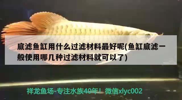 底濾魚缸用什么過濾材料最好呢(魚缸底濾一般使用哪幾種過濾材料就可以了)