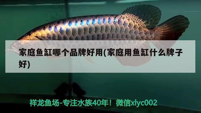 家庭魚缸哪個品牌好用(家庭用魚缸什么牌子好) 錦鯉池魚池建設(shè)