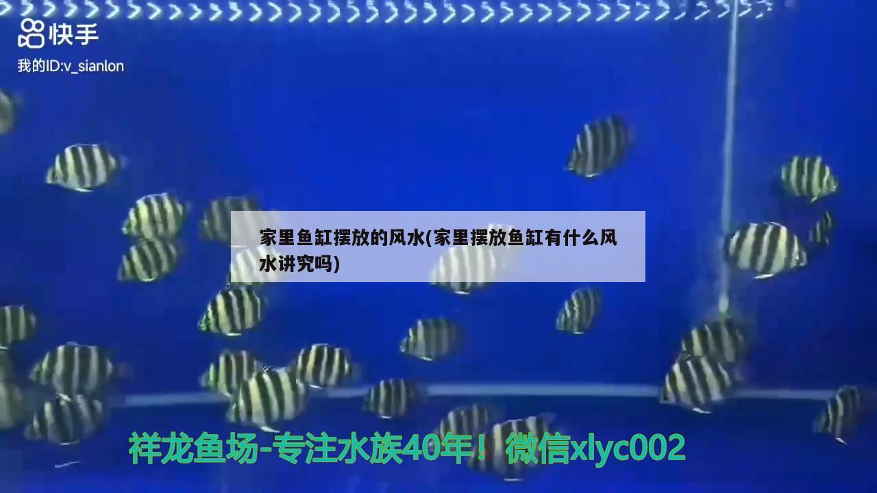 家里魚缸擺放的風(fēng)水(家里擺放魚缸有什么風(fēng)水講究嗎) 魚缸風(fēng)水