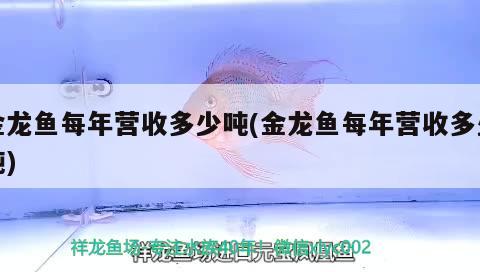 金龍魚每年營收多少噸(金龍魚每年營收多少噸)