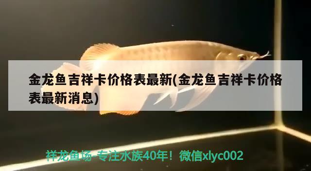 金龍魚吉祥卡價格表最新(金龍魚吉祥卡價格表最新消息) 伊巴卡魚