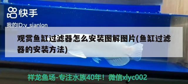 觀賞魚缸過濾器怎么安裝圖解圖片(魚缸過濾器的安裝方法) 三間鼠魚苗