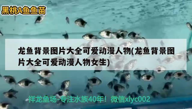 龍魚背景圖片大全可愛動漫人物(龍魚背景圖片大全可愛動漫人物女生) 野生埃及神仙魚