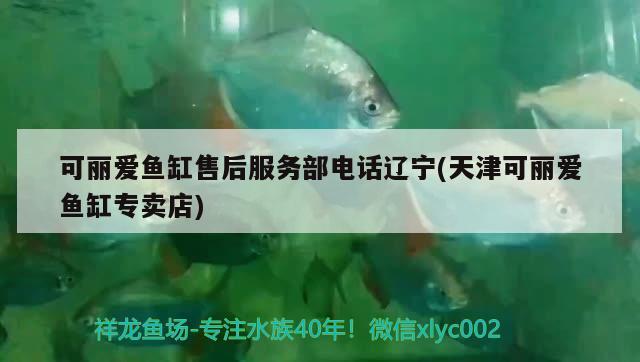 可麗愛魚缸售后服務(wù)部電話遼寧(天津可麗愛魚缸專賣店) 祥龍魚場品牌產(chǎn)品 第2張