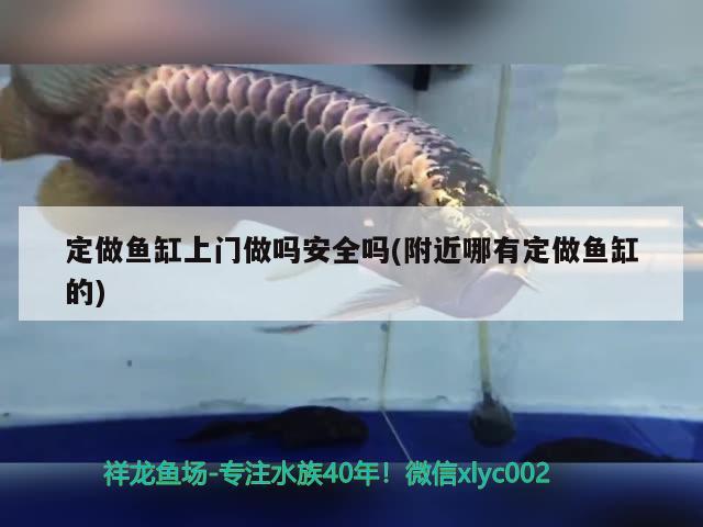 定做魚缸上門做嗎安全嗎(附近哪有定做魚缸的) 伊巴卡魚