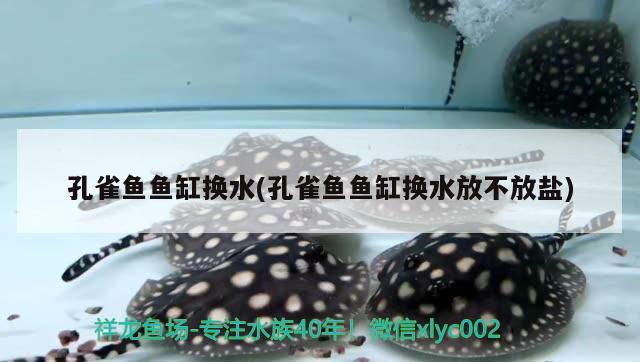 孔雀魚魚缸換水(孔雀魚魚缸換水放不放鹽)