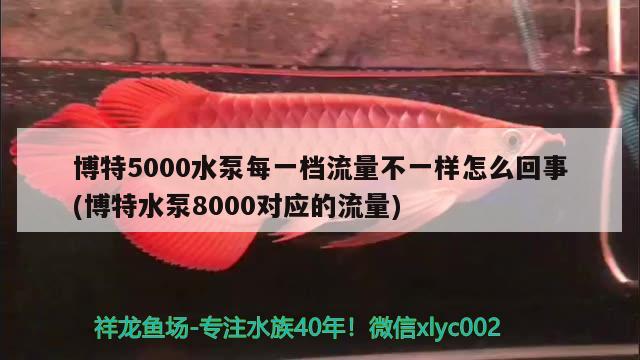 博特5000水泵每一檔流量不一樣怎么回事(博特水泵8000對(duì)應(yīng)的流量) 博特水族