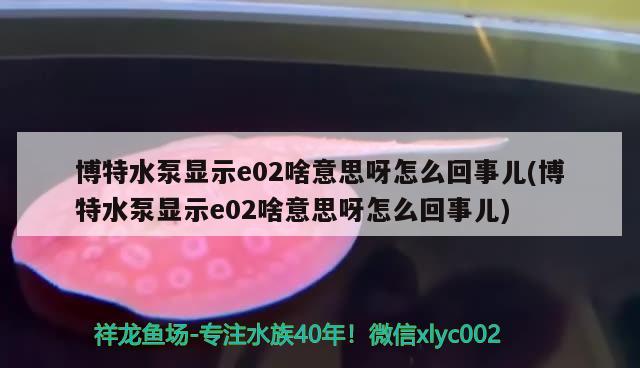 博特水泵顯示e02啥意思呀怎么回事兒(博特水泵顯示e02啥意思呀怎么回事兒) 博特水族