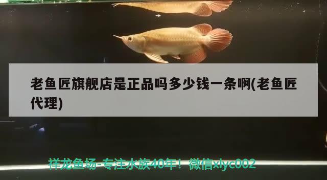 老魚匠旗艦店是正品嗎多少錢一條啊(老魚匠代理)