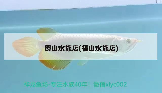 霞山水族店(福山水族店) 白子紅龍魚