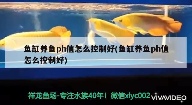 魚(yú)缸養(yǎng)魚(yú)ph值怎么控制好(魚(yú)缸養(yǎng)魚(yú)ph值怎么控制好) 慈雕魚(yú)