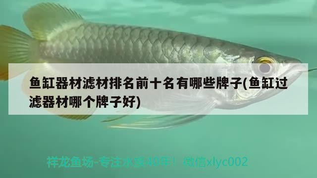 魚缸器材濾材排名前十名有哪些牌子(魚缸過濾器材哪個牌子好)