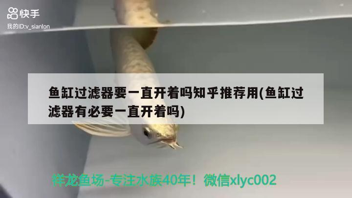 魚缸過濾器要一直開著嗎知乎推薦用(魚缸過濾器有必要一直開著嗎)