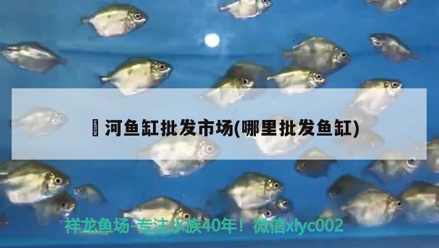 浉河魚缸批發(fā)市場(chǎng)(哪里批發(fā)魚缸)