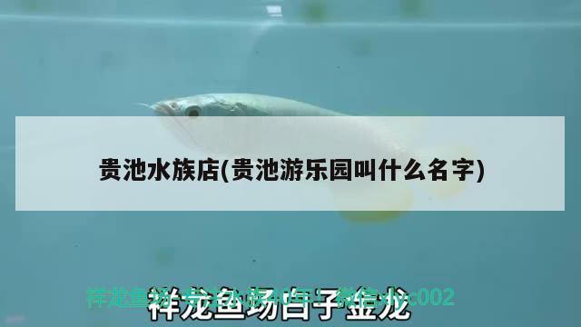 貴池水族店(貴池游樂園叫什么名字) 水溫計