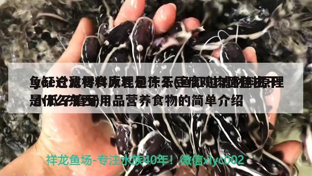 魚缸過濾材料原理是什么(魚缸過濾材料原理是什么東西) 大正錦鯉魚