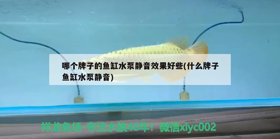 哪個牌子的魚缸水泵靜音效果好些(什么牌子魚缸水泵靜音)