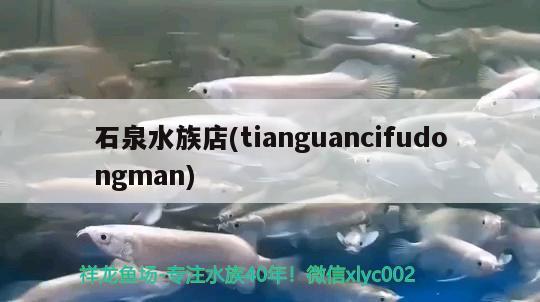 石泉水族店(tianguancifudongman) 白子銀龍苗（黃化銀龍苗）