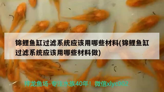 錦鯉魚缸過濾系統(tǒng)應(yīng)該用哪些材料(錦鯉魚缸過濾系統(tǒng)應(yīng)該用哪些材料做) 紅龍專用魚糧飼料