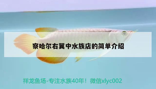 察哈爾右翼中水族店的簡(jiǎn)單介紹