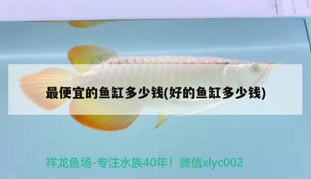 最便宜的魚缸多少錢(好的魚缸多少錢) 硝化細(xì)菌