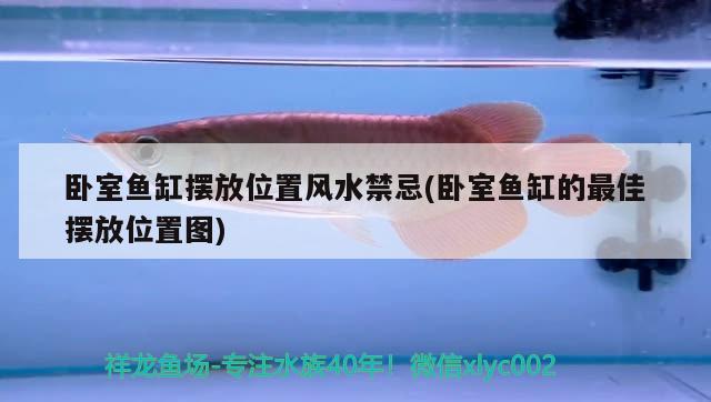 臥室魚缸擺放位置風(fēng)水禁忌(臥室魚缸的最佳擺放位置圖)