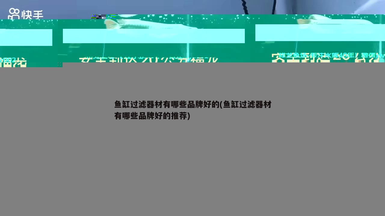 魚(yú)缸過(guò)濾器材有哪些品牌好的(魚(yú)缸過(guò)濾器材有哪些品牌好的推薦) 玫瑰銀版魚(yú)