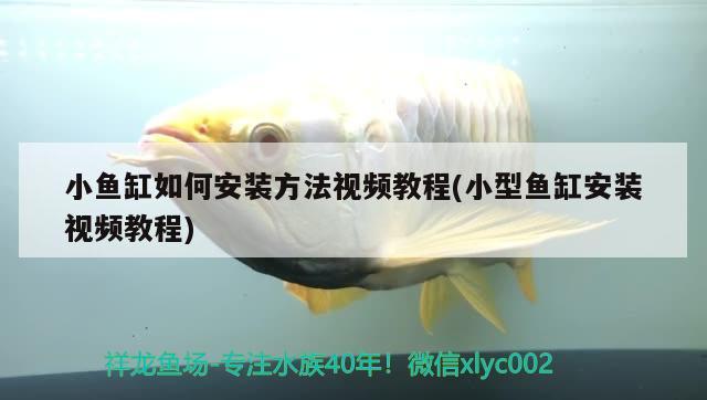 小魚缸如何安裝方法視頻教程(小型魚缸安裝視頻教程) 廣州水族批發(fā)市場