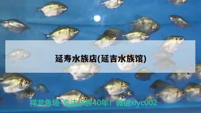 延壽水族店(延吉水族館)