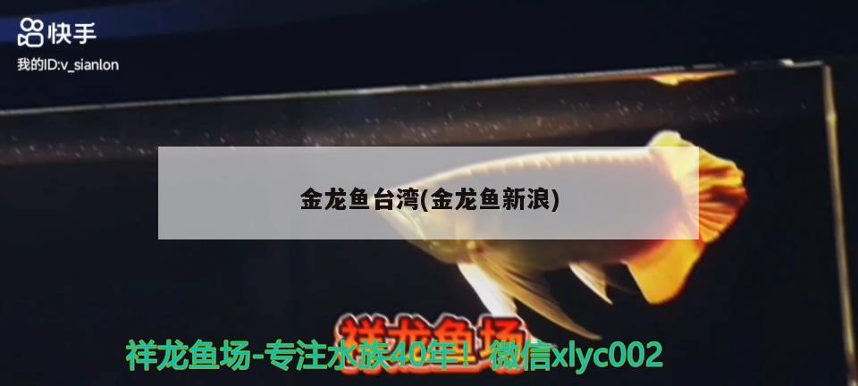 金龍魚臺灣(金龍魚新浪) 觀賞魚飼料