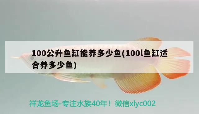 100公升魚缸能養(yǎng)多少魚(100l魚缸適合養(yǎng)多少魚) 印尼小紅龍