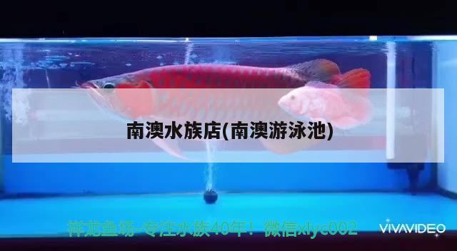 南澳水族店(南澳游泳池) 紅龍專用魚(yú)糧飼料