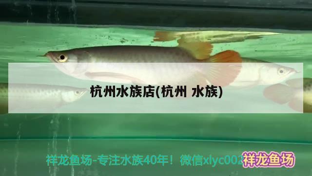 杭州水族店(杭州水族)