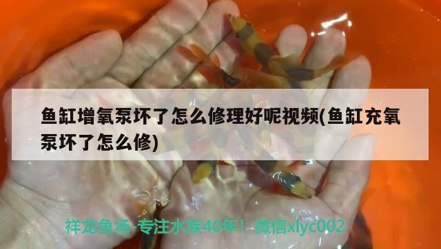 魚缸增氧泵壞了怎么修理好呢視頻(魚缸充氧泵壞了怎么修) 水族品牌