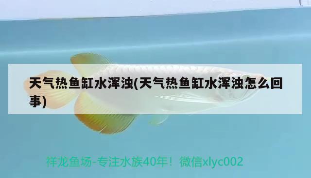 天氣熱魚(yú)缸水渾濁(天氣熱魚(yú)缸水渾濁怎么回事) 定時(shí)器/自控系統(tǒng)