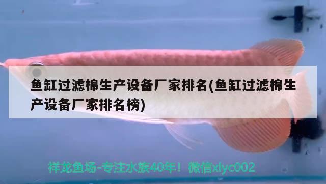 魚缸過濾棉生產(chǎn)設(shè)備廠家排名(魚缸過濾棉生產(chǎn)設(shè)備廠家排名榜) 小型觀賞魚