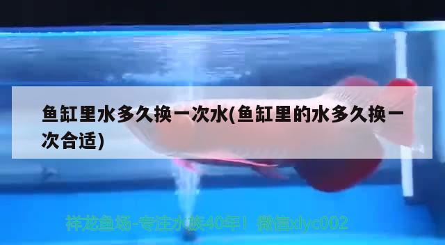 魚缸里水多久換一次水(魚缸里的水多久換一次合適) 廣州水族批發(fā)市場